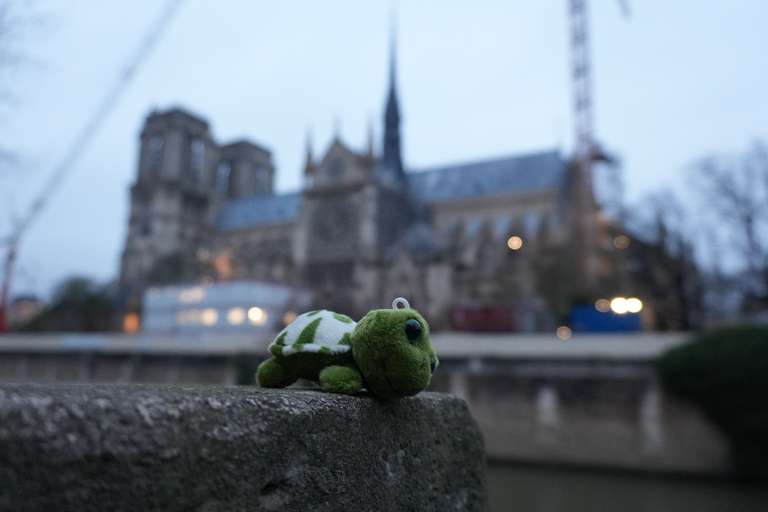 Reisetierchen in Paris